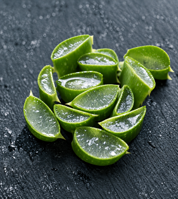 ALOE VERA EXTRACT
