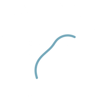 Vegetarian Friendly